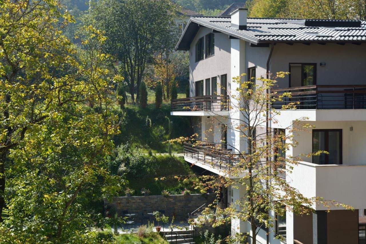 Гостевой дом Pensiunea GreenHill Брашов