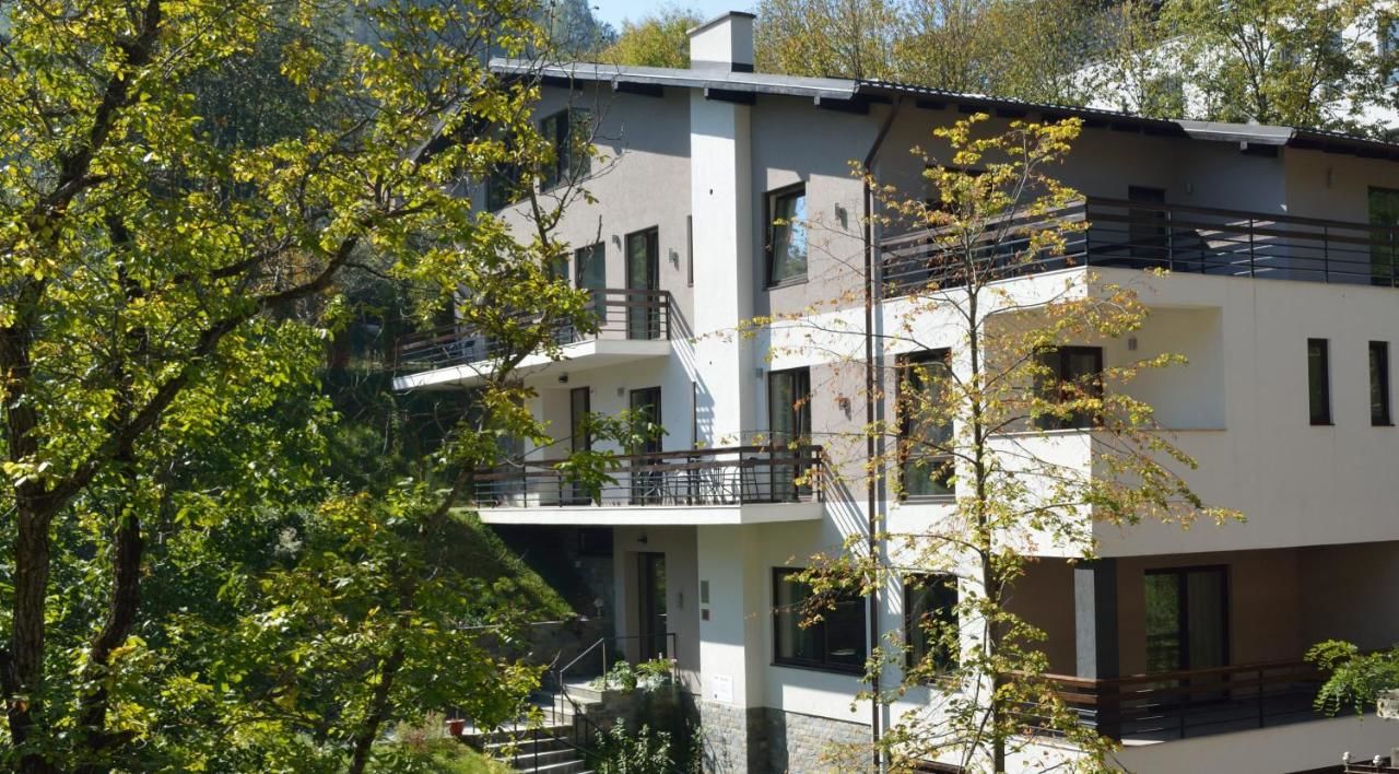 Гостевой дом Pensiunea GreenHill Брашов-5