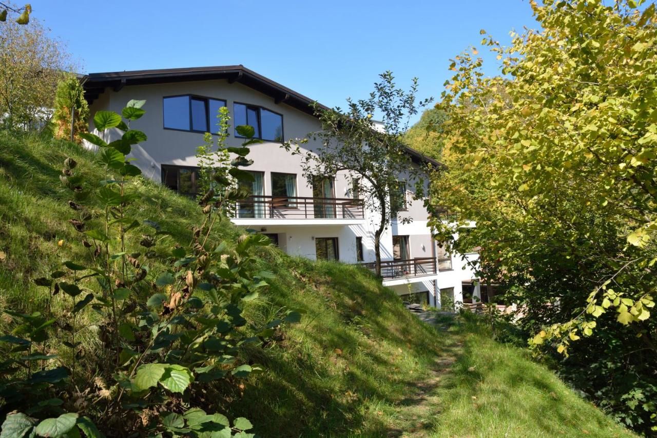 Гостевой дом Pensiunea GreenHill Брашов-6