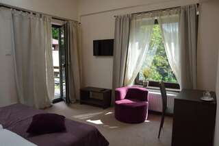 Гостевой дом Pensiunea GreenHill Брашов Двухместный номер с 1 кроватью или 2 отдельными кроватями и террасой-2