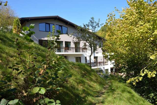 Гостевой дом Pensiunea GreenHill Брашов-5